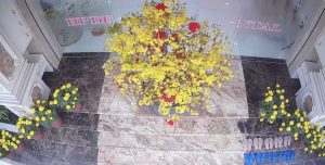 khai trương đầu năm nha khoa hạnh phúc